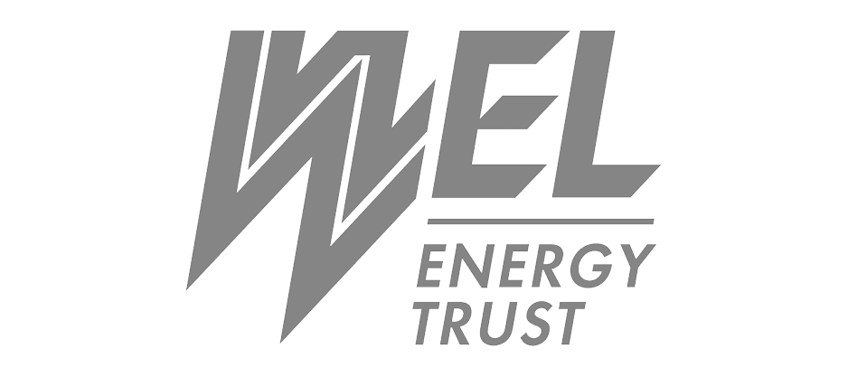 Wel Energy Logo